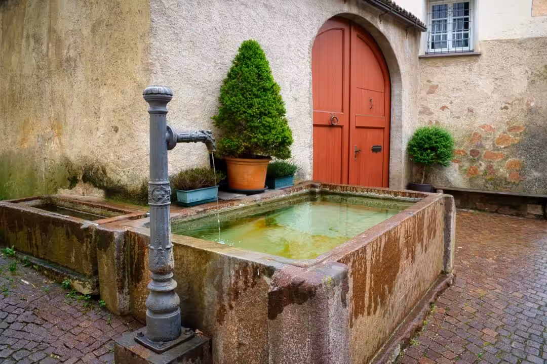 Récupération eau pluie : installer un bassin ou citerne